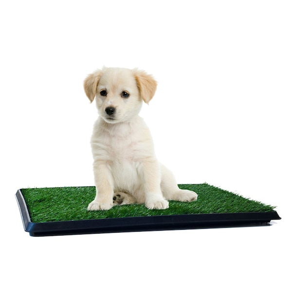 Pet Adobe Puppy Artificial Grass Potty Trainer Mat, Indoor/Outdoor Bathroom Rug for Small Dogs, Cats 275624VME - main